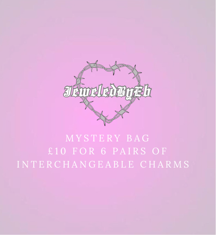 INTERCHANGEABLE MYSTERY BAG